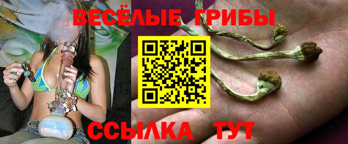 сколько стоит  Галлюциногенные грибы Psilocybe  Вход с VPN  Пугачёв 
